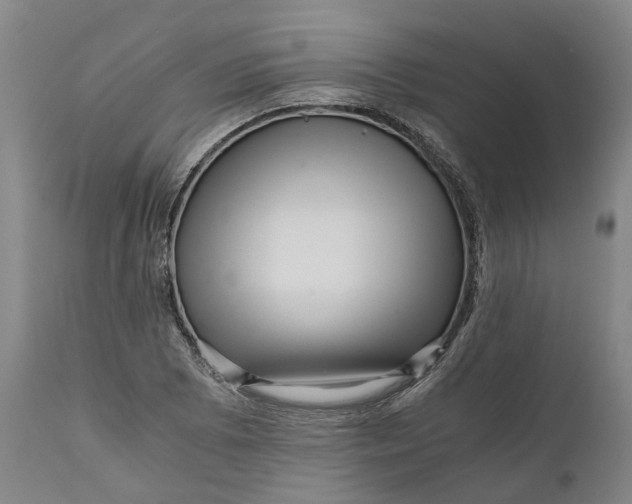 X0000111121073200907211045