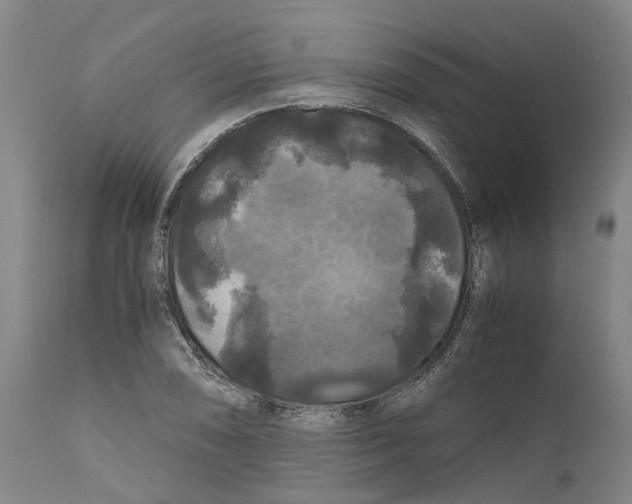 X0000111121074200907211045