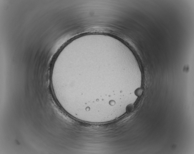 X0000111121075200907211045