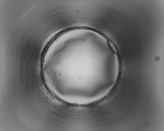 X0000111121076200907211045