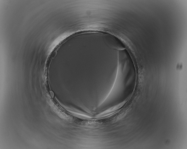 X0000111121077200907211045