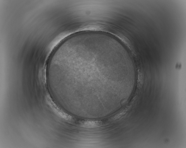 X0000111121078200907211045