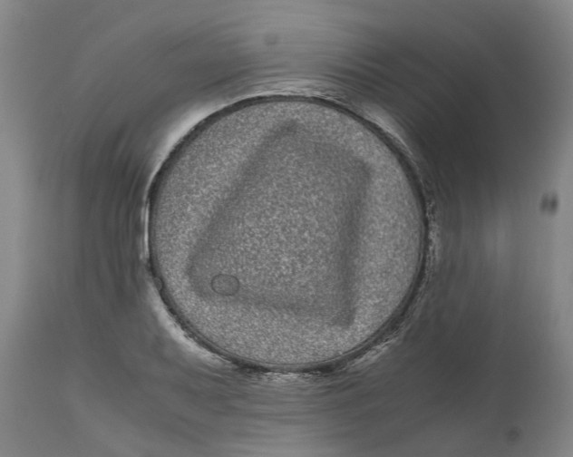 X0000111121079200907211045