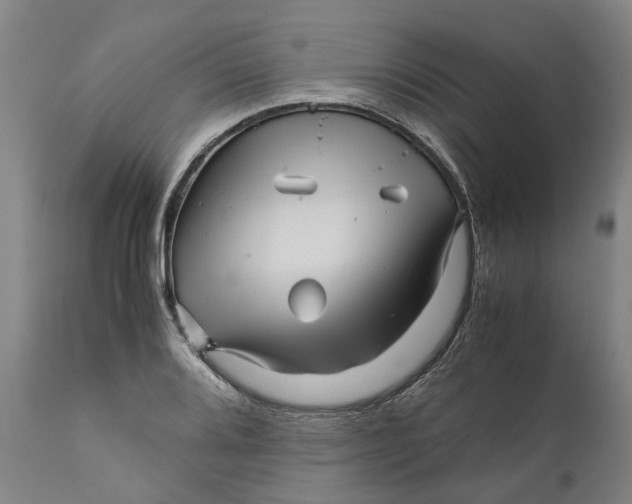 X0000111121080200907211045