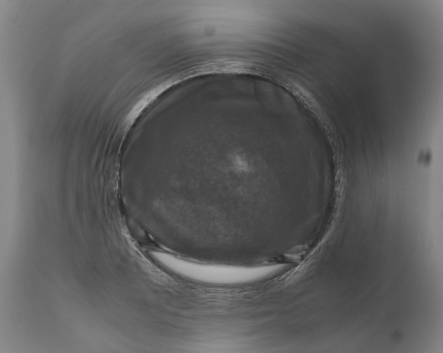 X0000111121081200907211045