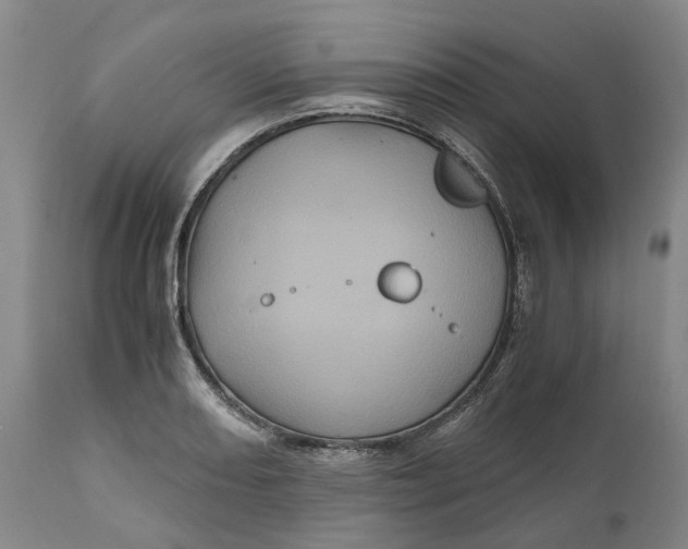 X0000111121082200907211045