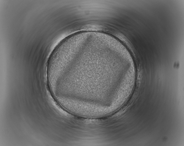 X0000111121083200907211045