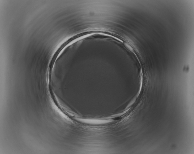 X0000111121084200907211044