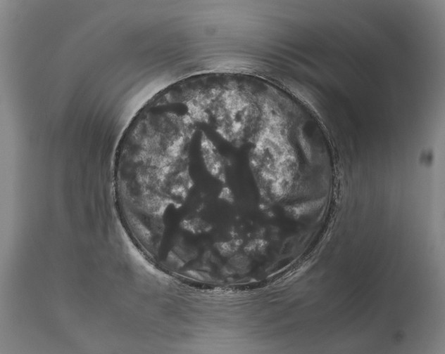 X0000111121087200907211044