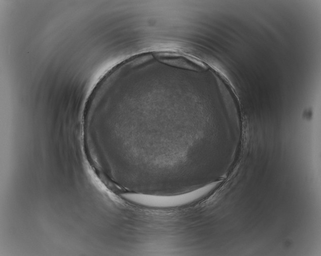 X0000111121088200907211044