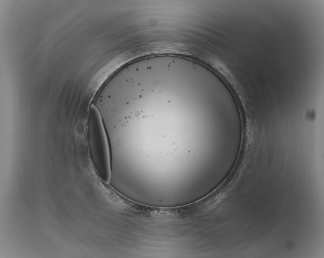 X0000111121089200907211044