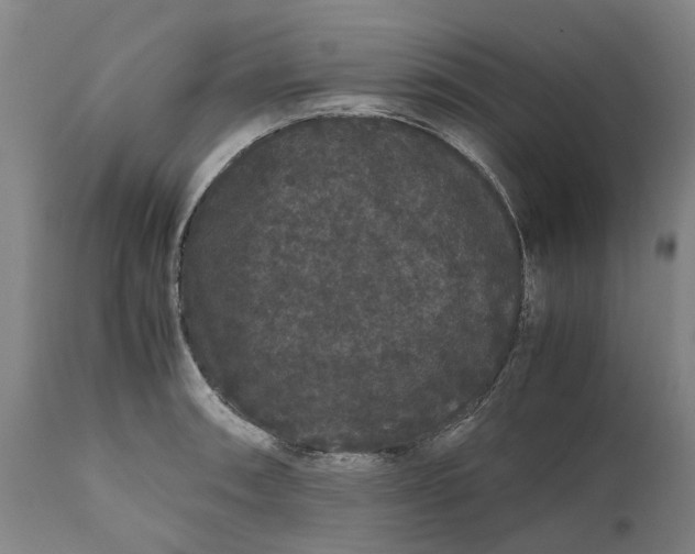 X0000111121090200907211044