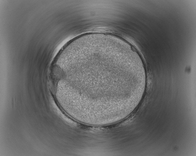 X0000111121091200907211044