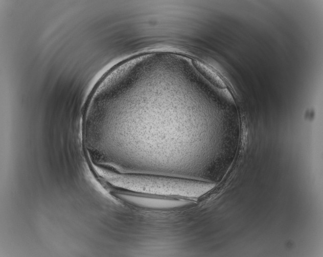 X0000111121092200907211044