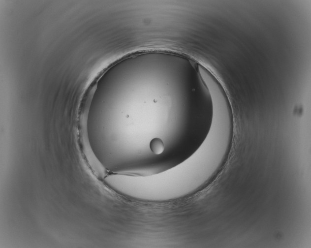 X0000111121093200907211044