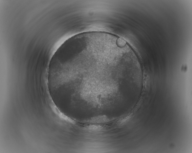 X0000111121094200907211044