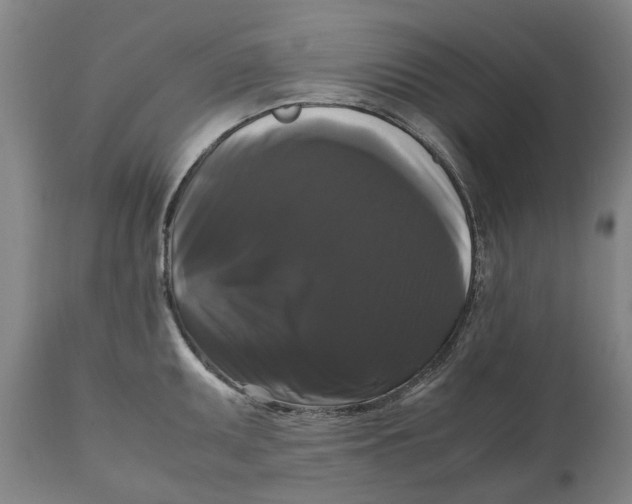 X0000111121095200907211044