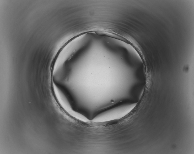 X0000111121096200907211044