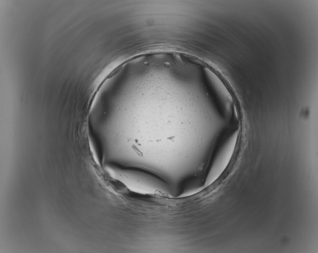 X0000111121097200907211044