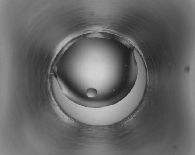 X0000111121098200907211044