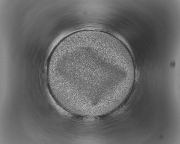 X0000111121099200907211044