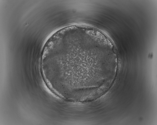 X0000111121100200907211044