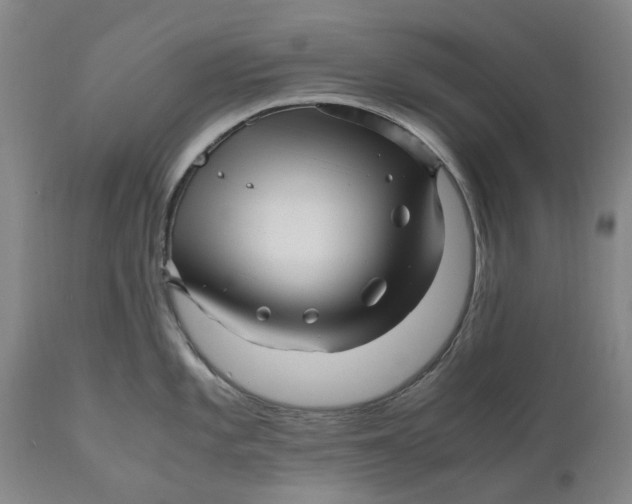 X0000111121101200907211044