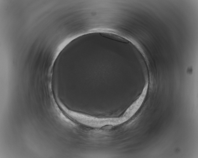 X0000111121102200907211044