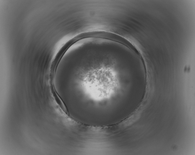 X0000111121104200907211044