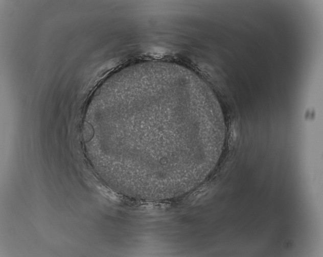 X0000111121105200907211043