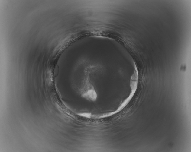 X0000111121106200907211043