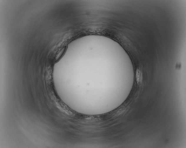 X0000111121107200907211043