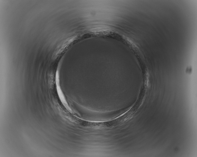 X0000111121108200907211043