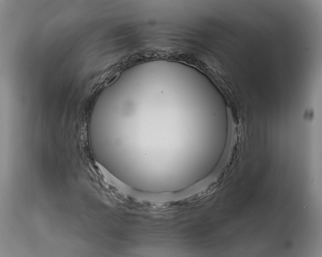 X0000111121109200907211043