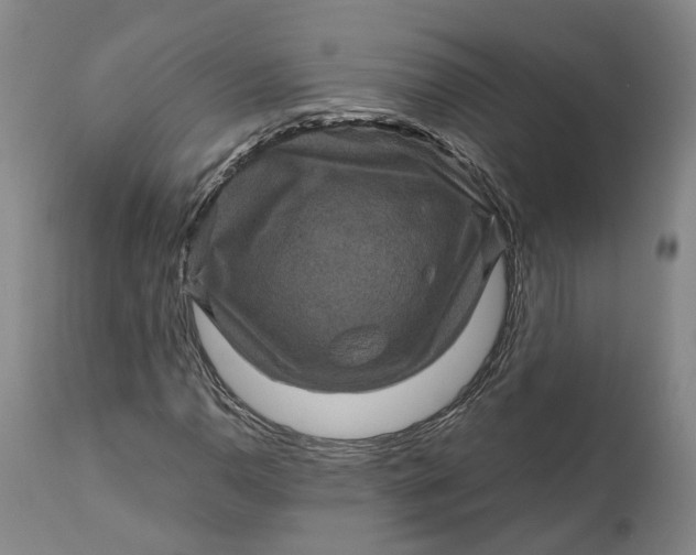 X0000111121110200907211043