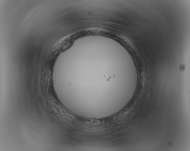 X0000111121111200907211043