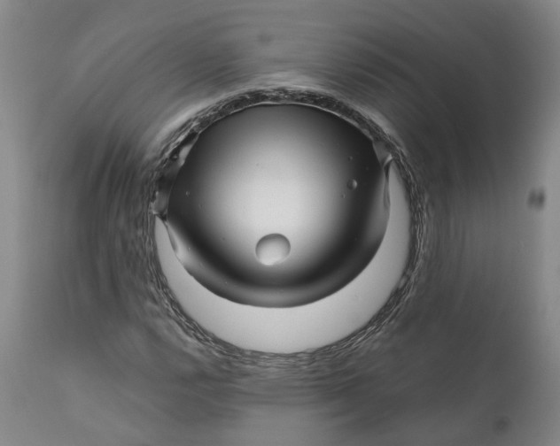 X0000111121112200907211043