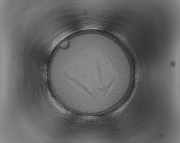 X0000111121113200907211043