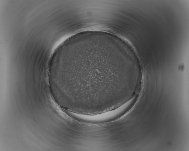 X0000111121114200907211043