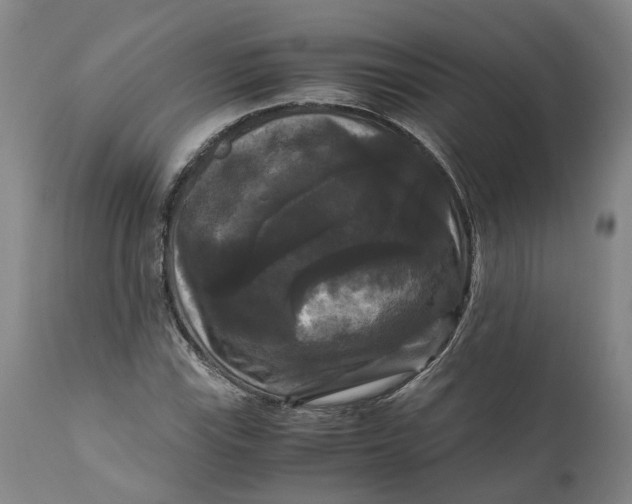 X0000111121115200907211043