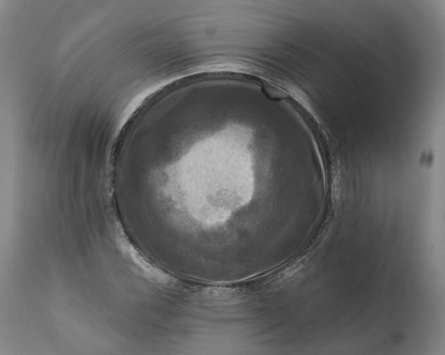 X0000111121116200907211043