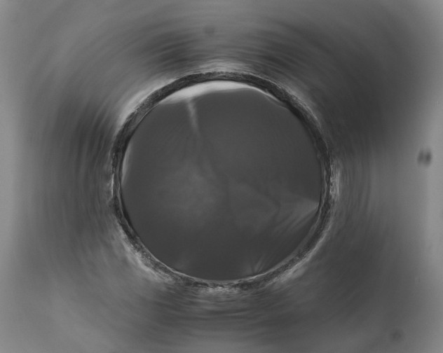 X0000111121117200907211043