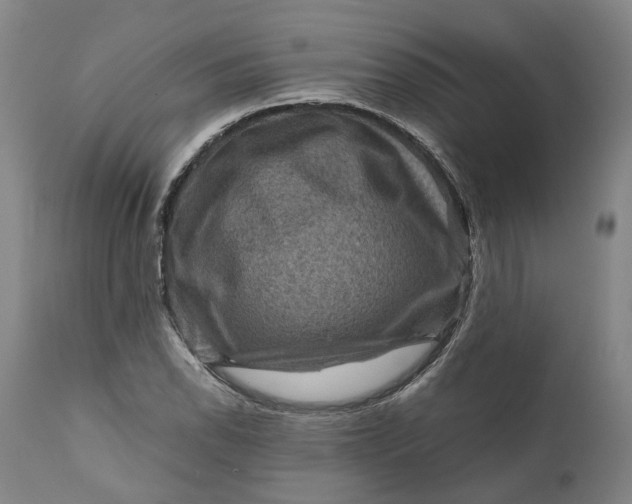 X0000111121118200907211043