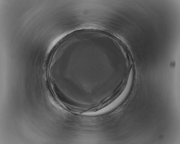 X0000111121120200907211043