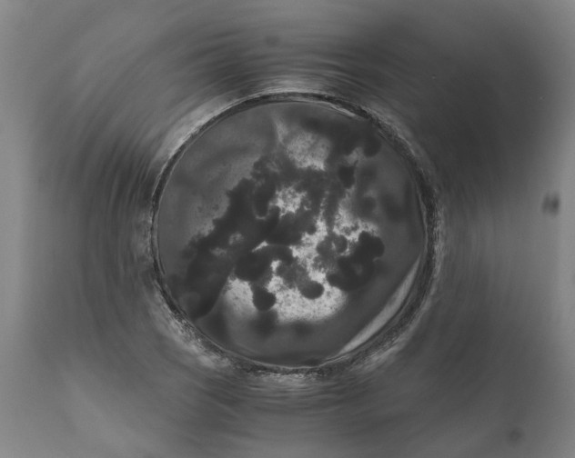 X0000111121121200907211043