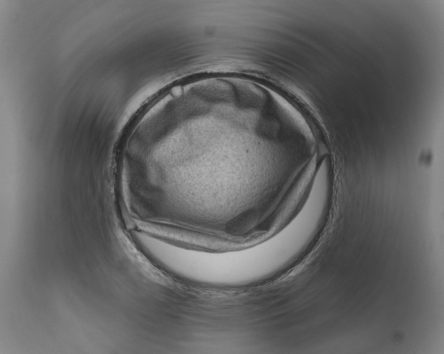 X0000111121122200907211043