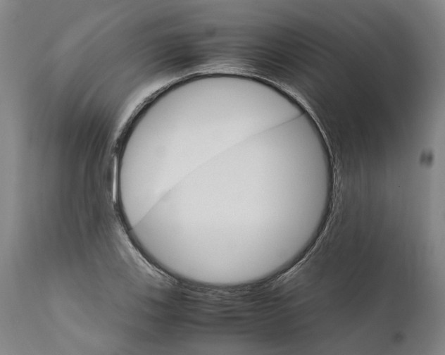 X0000111121123200907211043