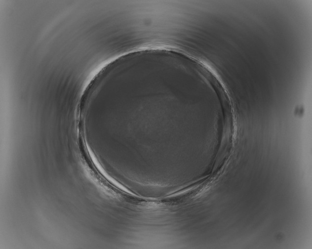 X0000111121124200907211043