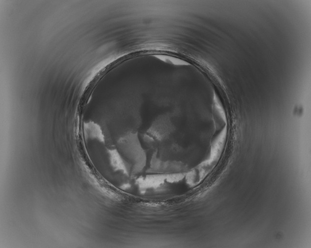 X0000111121125200907211043