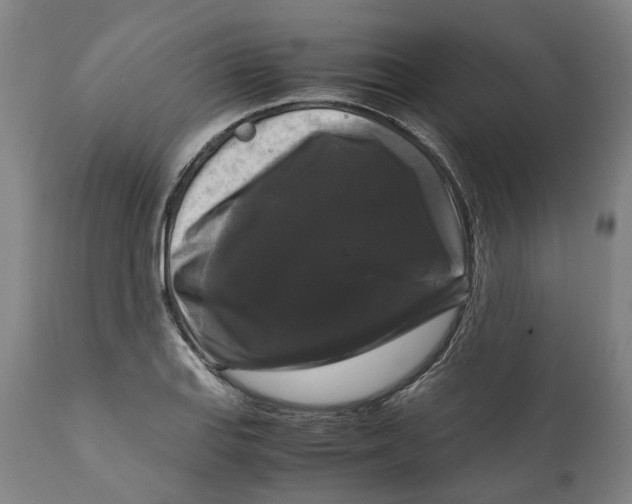 X0000111121127200907211044